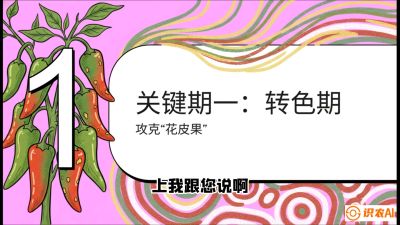 第8节：【小米辣线椒专场】颜值即正义！防花皮、防炭疽，打造收购商抢着要的&ldquo;精品果&rdquo;，课程：《辣椒种植实战特训营，从工业辣椒到精品小米辣，教你如何把&ldquo;草&rdquo;种成&ldquo;金&rdquo;》