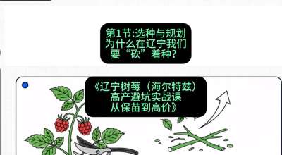第一节： 选种与规划&mdash;&mdash;为什么在辽宁我们要&ldquo;砍&rdquo;着种？，课程：《辽宁树莓（海尔特兹）高产避坑实战课：从保苗到高价》