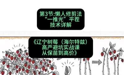 第三节： 懒人修剪法&mdash;&mdash;&ldquo;一推光&rdquo;平茬技术详解，课程：《辽宁树莓（海尔特兹）高产避坑实战课：从保苗到高价》