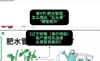 第四节： 肥水管理&mdash;&mdash;怎么喂出&ldquo;石头果&rdquo;（硬度提升），课程：《辽宁树莓（海尔特兹）高产避坑实战课：从保苗到高价》