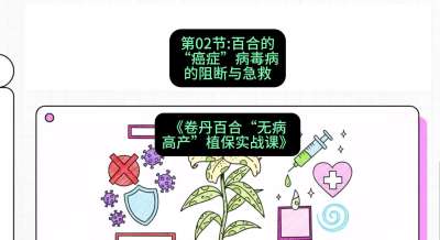 第02节：百合的&ldquo;癌症&rdquo;&mdash;&mdash;病毒病的阻断与急救，课程：《卷丹百合&ldquo;无病高产&rdquo;植保实战课》#识农AI