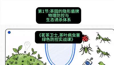第01节：茶园的&ldquo;隐形盾牌&rdquo;&mdash;&mdash;物理防控与生态诱杀体系，课程：《茗茶卫士&mdash;&mdash;茶叶病虫害绿色防控实战课》#识农AI