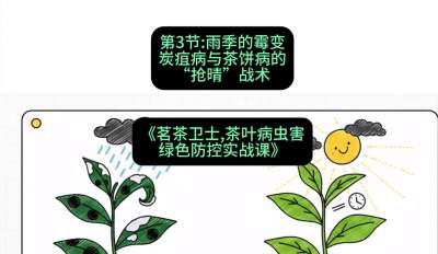 第03节：雨季的霉变&mdash;&mdash;炭疽病与茶饼病的&ldquo;抢晴&rdquo;战术，课程：《茗茶卫士&mdash;&mdash;茶叶病虫害绿色防控实战课》#识农AI