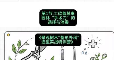 第01节：工欲善其事&mdash;&mdash;园林&ldquo;手术刀&rdquo;的选择与消毒，课程：《景观树木&ldquo;整形外科&rdquo;造型实战特训营》#识农AI