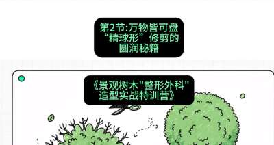 第02节：万物皆可盘&mdash;&mdash;&ldquo;精球形&rdquo;修剪的圆润秘籍，课程：《景观树木&ldquo;整形外科&rdquo;造型实战特训营》#识农AI