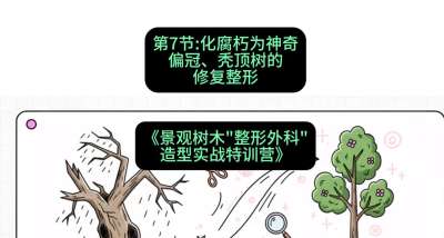 第07节：化腐朽为神奇&mdash;&mdash;偏冠、秃顶树的修复整形，课程：《景观树木&ldquo;整形外科&rdquo;造型实战特训营》#识农AI
