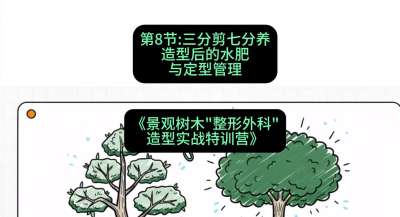 第08节：三分剪七分养&mdash;&mdash;造型后的水肥与定型管理，课程：《景观树木&ldquo;整形外科&rdquo;造型实战特训营》#识农AI