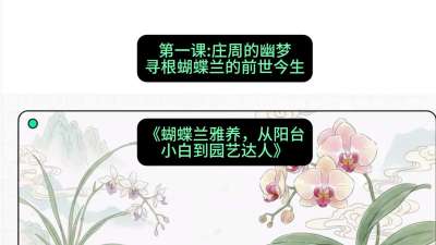 第一节：庄周的幽梦：寻根蝴蝶兰的前世今生，课程：《蝴蝶兰雅养六讲：从阳台小白到园艺达人》#识农AI