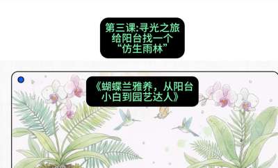 第三节：寻光之旅：给阳台找一个&ldquo;仿生雨林&rdquo;，课程：《蝴蝶兰雅养六讲：从阳台小白到园艺达人》#识农AI