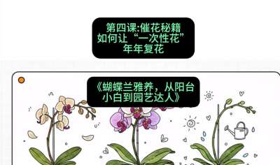 第四节：催花秘籍：如何让&ldquo;一次性花&rdquo;年年复花，课程：《蝴蝶兰雅养六讲：从阳台小白到园艺达人》#识农AI