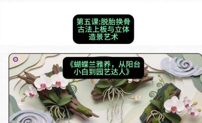 第五节：脱胎换骨：古法上板与立体造景艺术，课程：《蝴蝶兰雅养六讲：从阳台小白到园艺达人》#识农AI