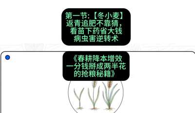 第一节：【冬小麦】返青追肥不靠猜，看苗下药省大钱