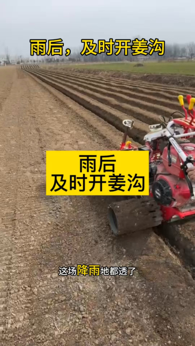 雨后，及时开姜沟！