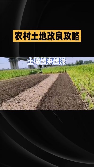 1. 先搞懂：你到底要改良哪块地、种什么
 
- 土土土在哪里？
就是你自家农田、菜地、果园，哪块地想种庄稼，就测哪块地的土。
​
- 有水没有水？
有水能浇：改良更省事，施肥、调酸碱都好操作。
没水