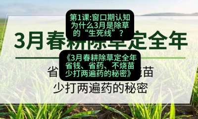 第1节：窗口期认知，为什么3月是除草的&ldquo;生死线&rdquo;？，课程：《3月春耕除草定全年：省钱、省药、不烧苗、少打两遍药的秘密》