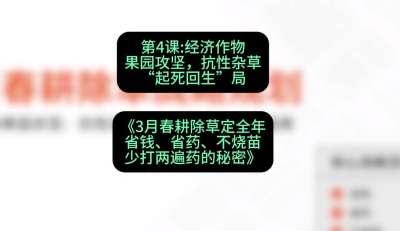 第4节：经济作物果园攻坚，抗性杂草&ldquo;起死回生&rdquo;局，课程：《3月春耕除草定全年：省钱、省药、不烧苗、少打两遍药的秘密》